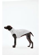 Side profile of a sleeveless dog vest with quilted panels and lightweight padding