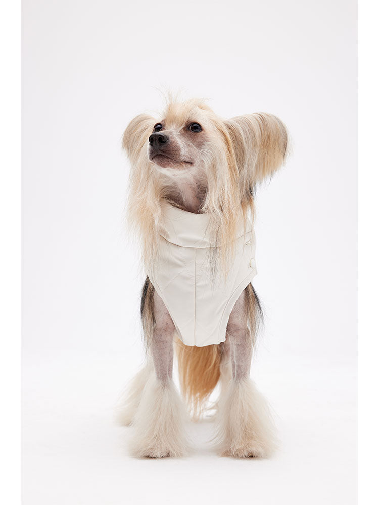 Small dog wearing a sleeveless quilted vest, shown from the front with a high neck fit