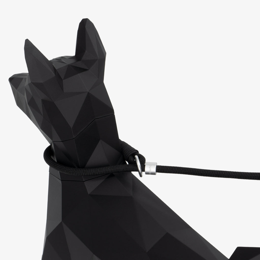 Close-up of rope leash loop around the dog’s neck showing gentle contact and adjustable stopper placement