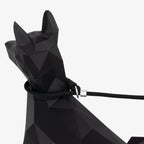 Close-up of rope leash loop around the dog’s neck showing gentle contact and adjustable stopper placement