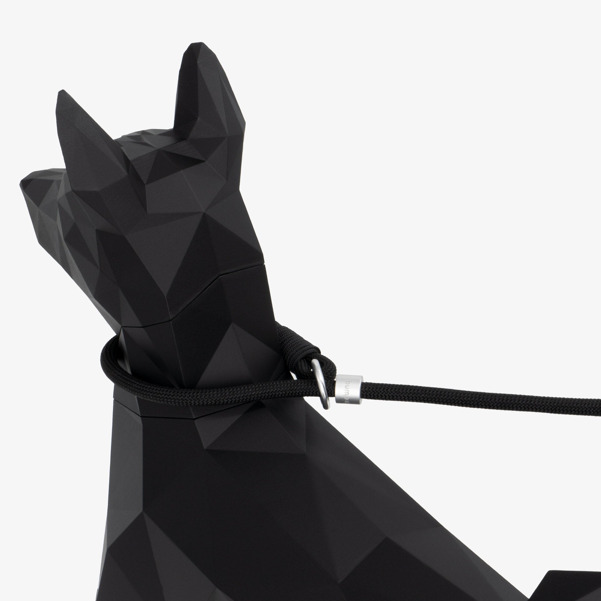 Close-up of rope leash loop around the dog’s neck showing gentle contact and adjustable stopper placement