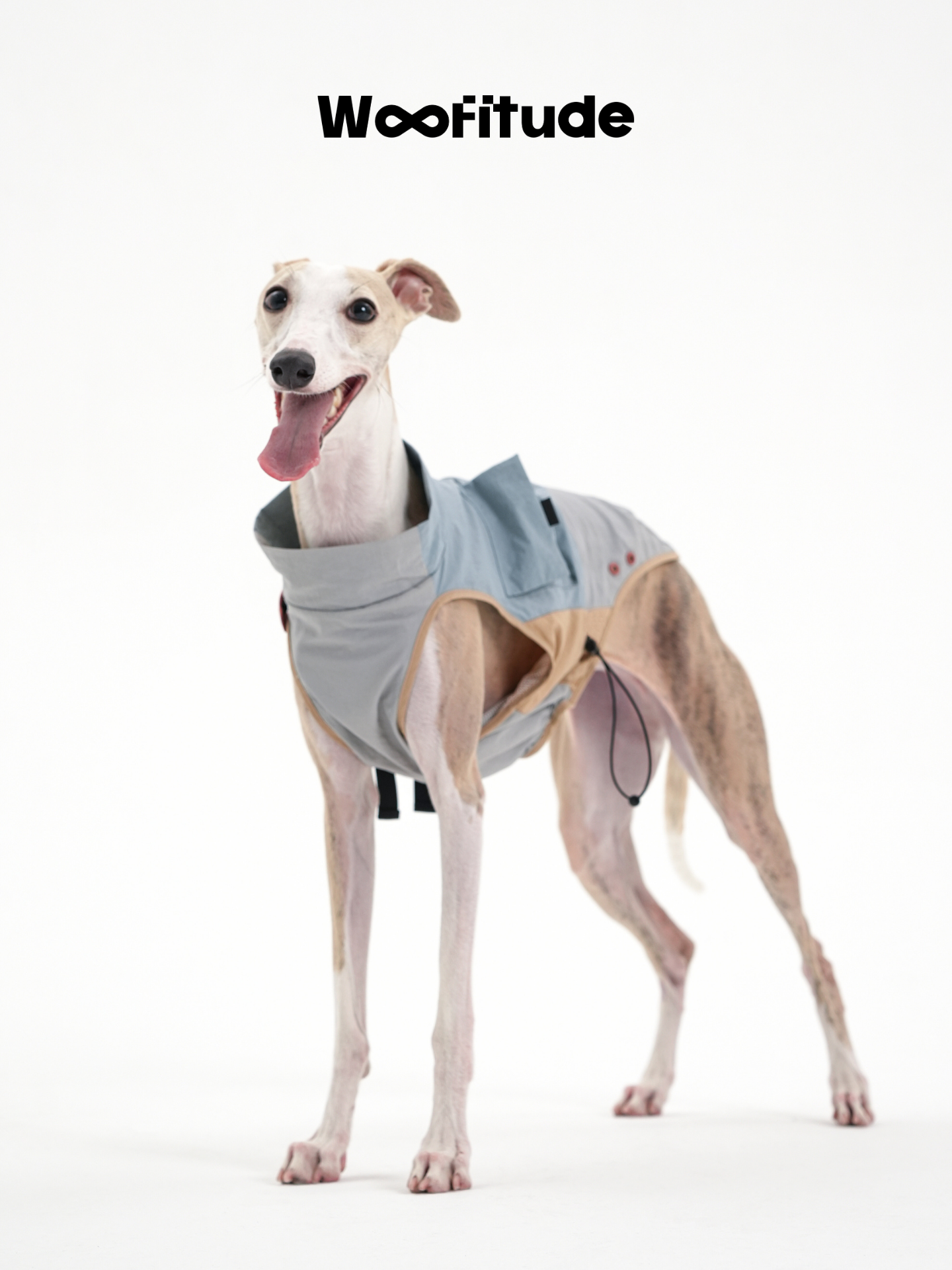 A slim dog stands facing forward in a slim fit dog vest, displaying chest coverage, lightweight fabric, and an open neckline design
