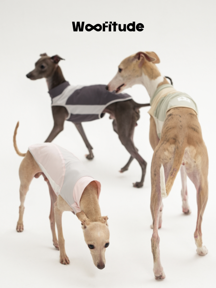 Slim fit dog vests shown on multiple dogs, highlighting lightweight construction and close body fit for summer wear