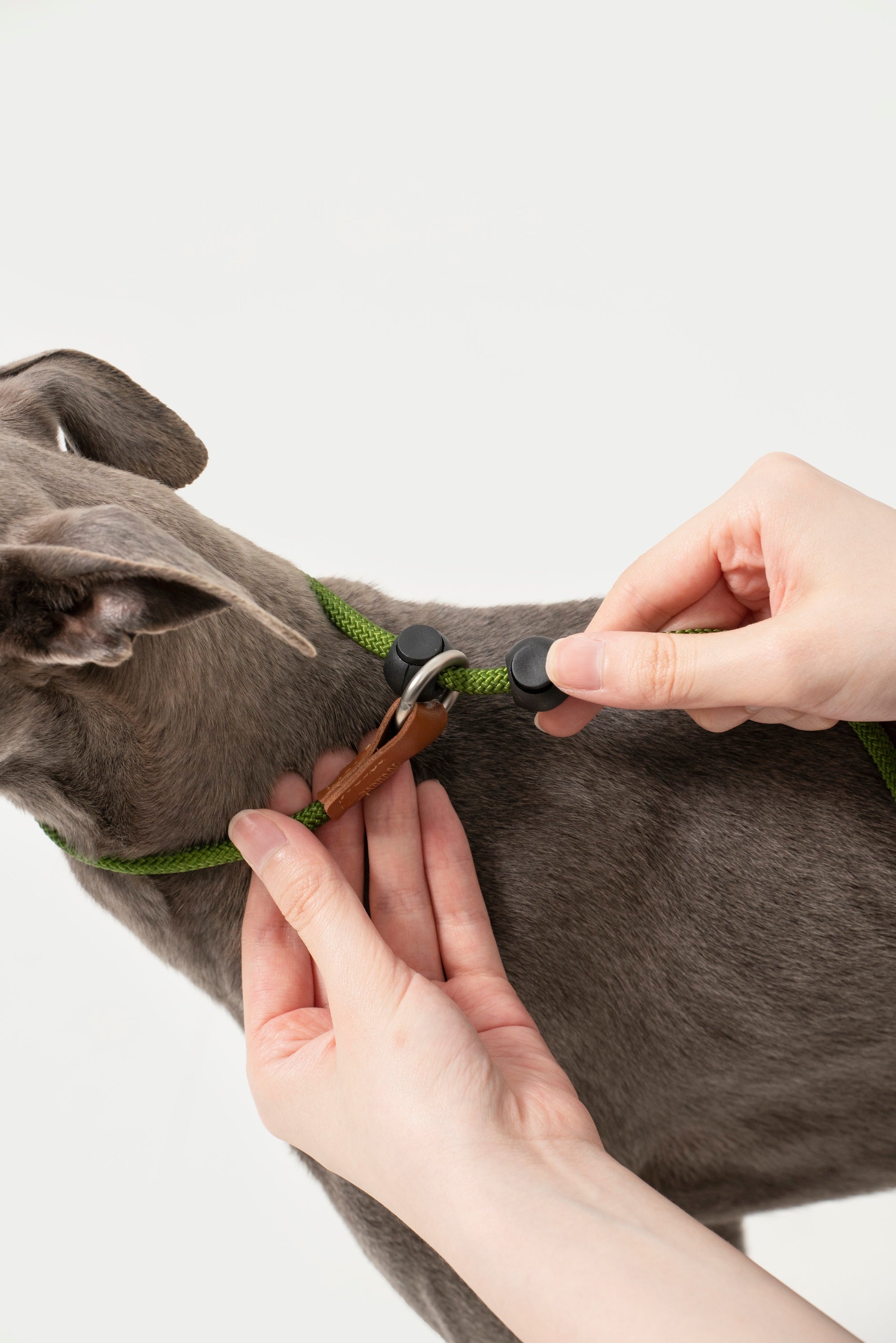 Close-up of hands adjusting the stopper on a slip leash, showing the sliding limiter that helps control tightening during training.