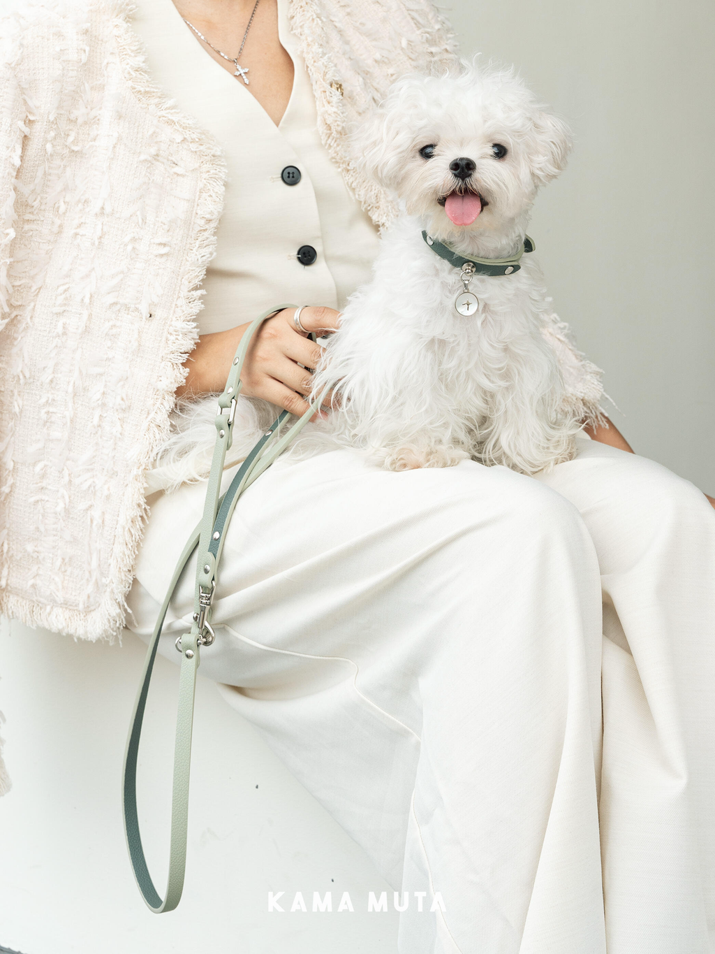 Elegant dog leash paired with a matching collar, styled on a small white dog in a minimalist indoor environment
