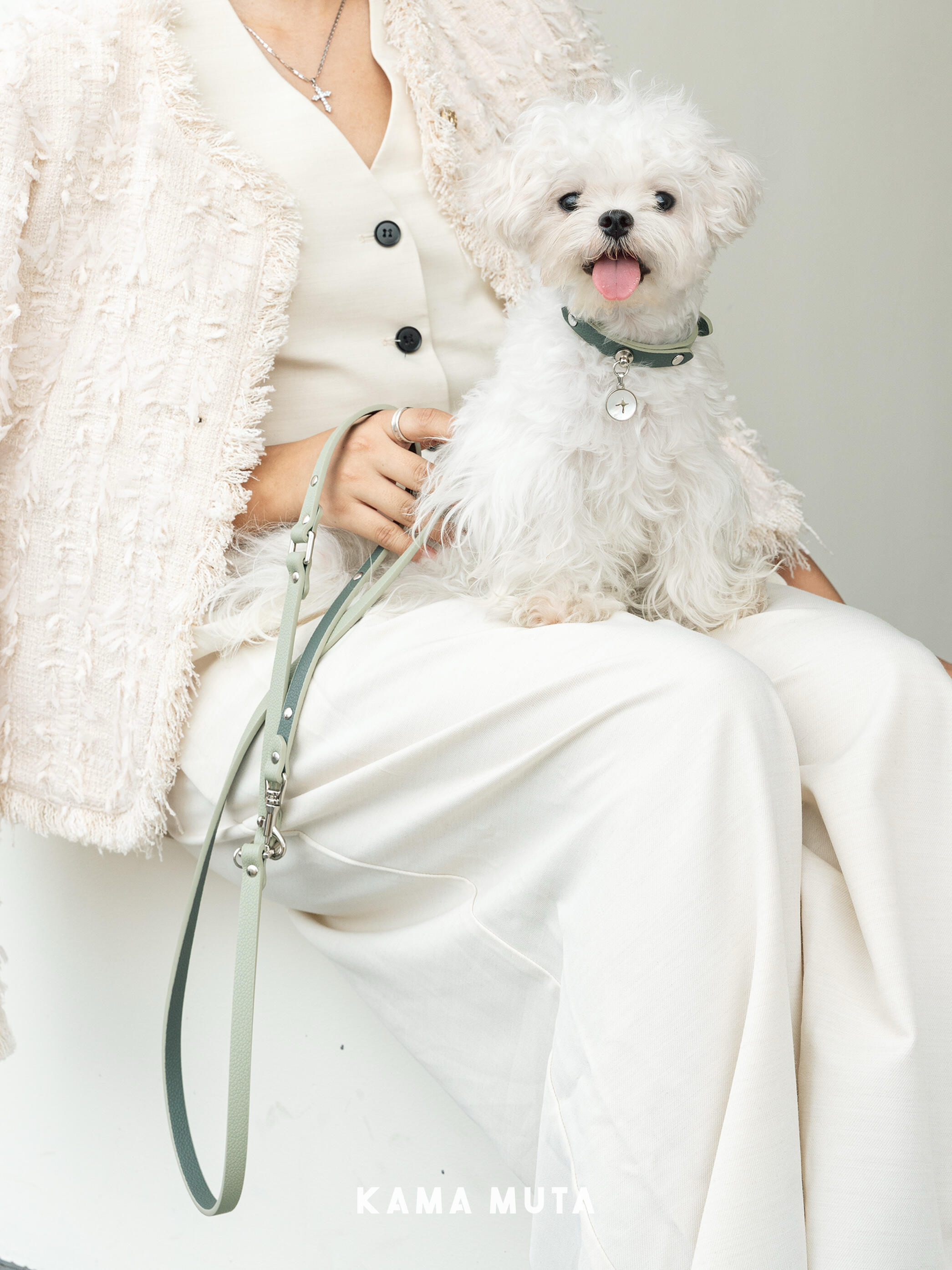 Elegant dog leash paired with a matching collar, styled on a small white dog in a minimalist indoor environment
