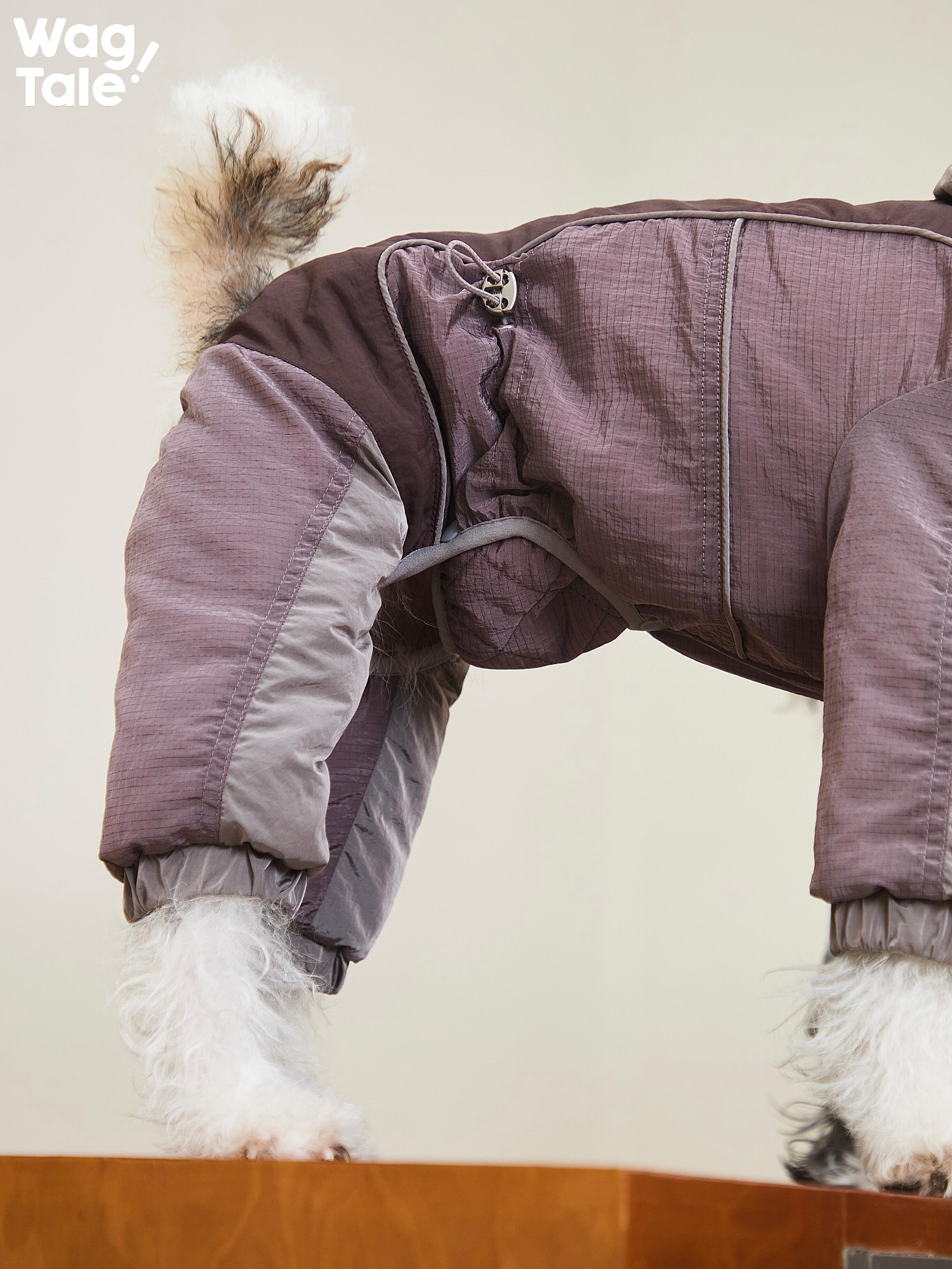 Close-up side view of a dog wearing the Snowy Forest 2.0 four-leg dog suit; leg openings and body panels show a fitted winter jumpsuit designed for movement and warmth.