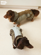 Two dogs wearing Snowy Forest 2.0 insulated dog suits during movement; flexible four-leg construction allows comfortable walking and everyday winter use.