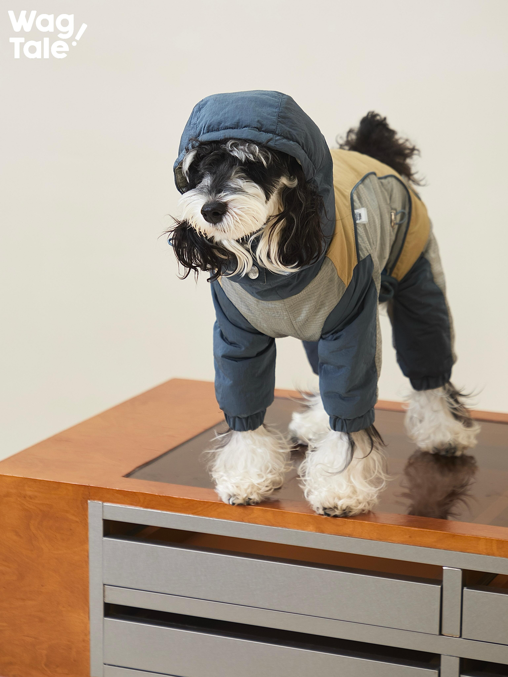 Dog standing on a platform wearing the Snowy Forest 2.0 four-leg winter dog suit; lightweight insulated design provides full coverage without restricting movement.