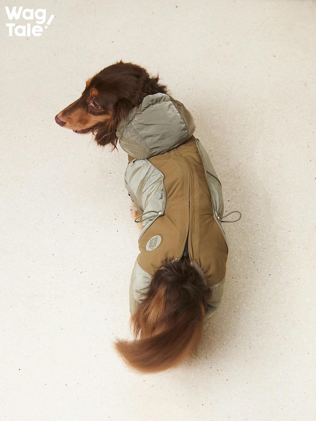 Top view of a dachshund wearing the Snowy Forest 2.0 insulated dog suit in green and brown; hooded collar and full-body coverage highlight a winter suit made for long-bodied dogs.