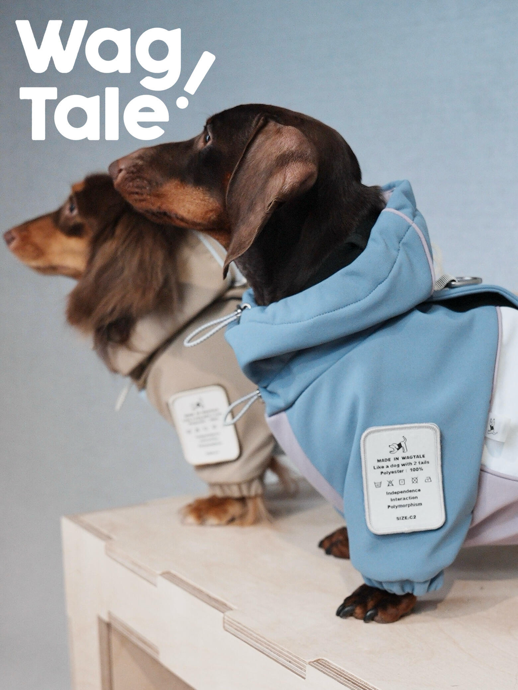 Two dachshund dogs wearing Snowy Forest hooded dog jackets in blue and beige, shown in side profile on a wooden platform, highlighting the four-leg snowsuit fit and adjustable hood design.