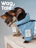 Two dachshund dogs wearing Snowy Forest hooded dog jackets in blue and beige, shown in side profile on a wooden platform, highlighting the four-leg snowsuit fit and adjustable hood design.