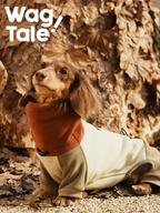 A dachshund sitting on autumn leaves wearing a soft fleece dog suit with a high neck, designed for warmth and a cozy, relaxed winter fit.