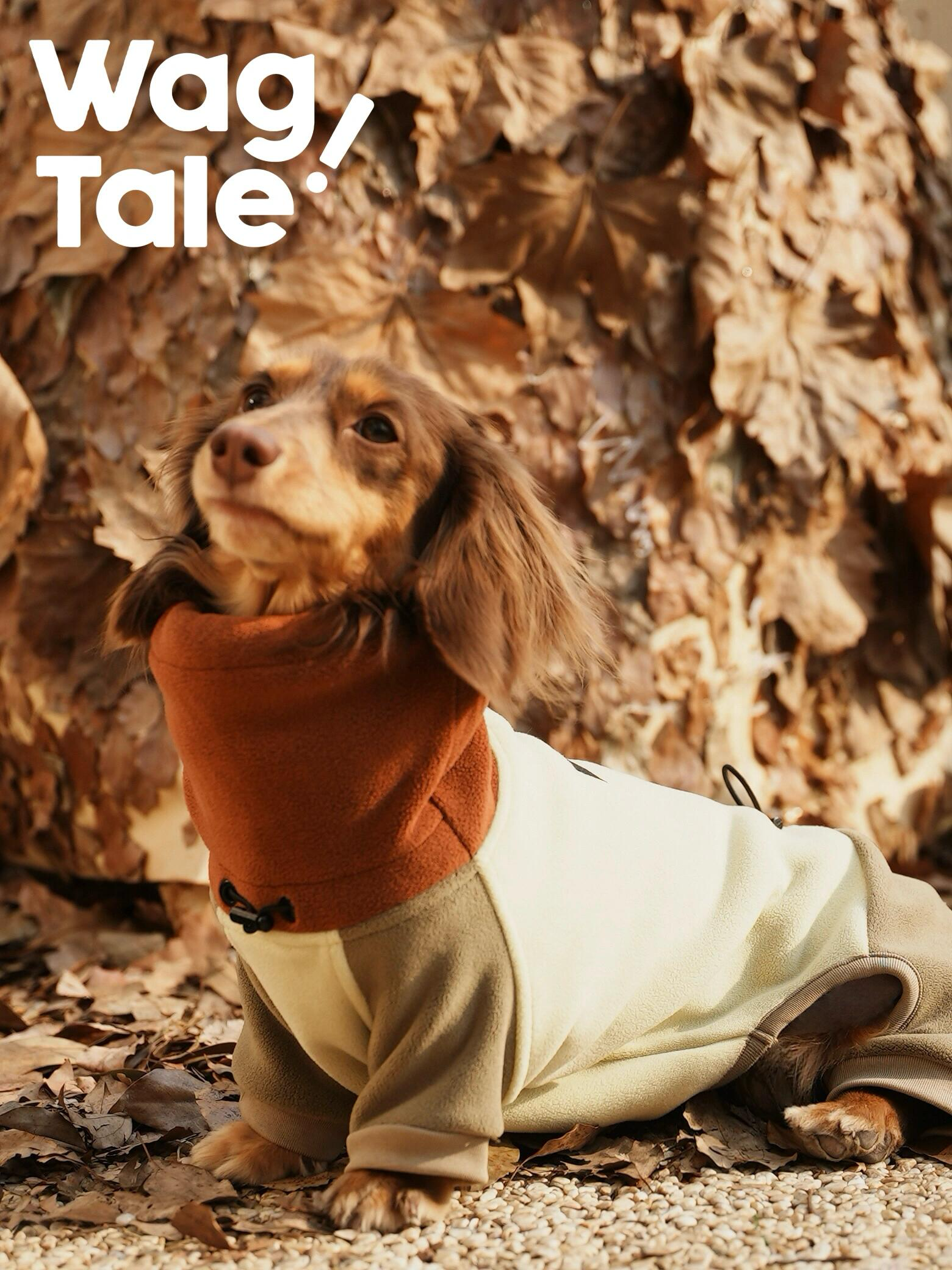 A dachshund sitting on autumn leaves wearing a soft fleece dog suit with a high neck, designed for warmth and a cozy, relaxed winter fit.