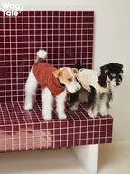 Two dogs standing side by side wearing solid color dog jumpers, showing how the minimalist design works across breeds in daily wear.