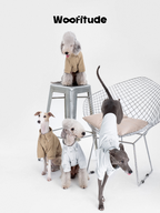 Poodle wearing a structured dog shirt in khaki, seated pose highlighting collar structure and tailored proportions.