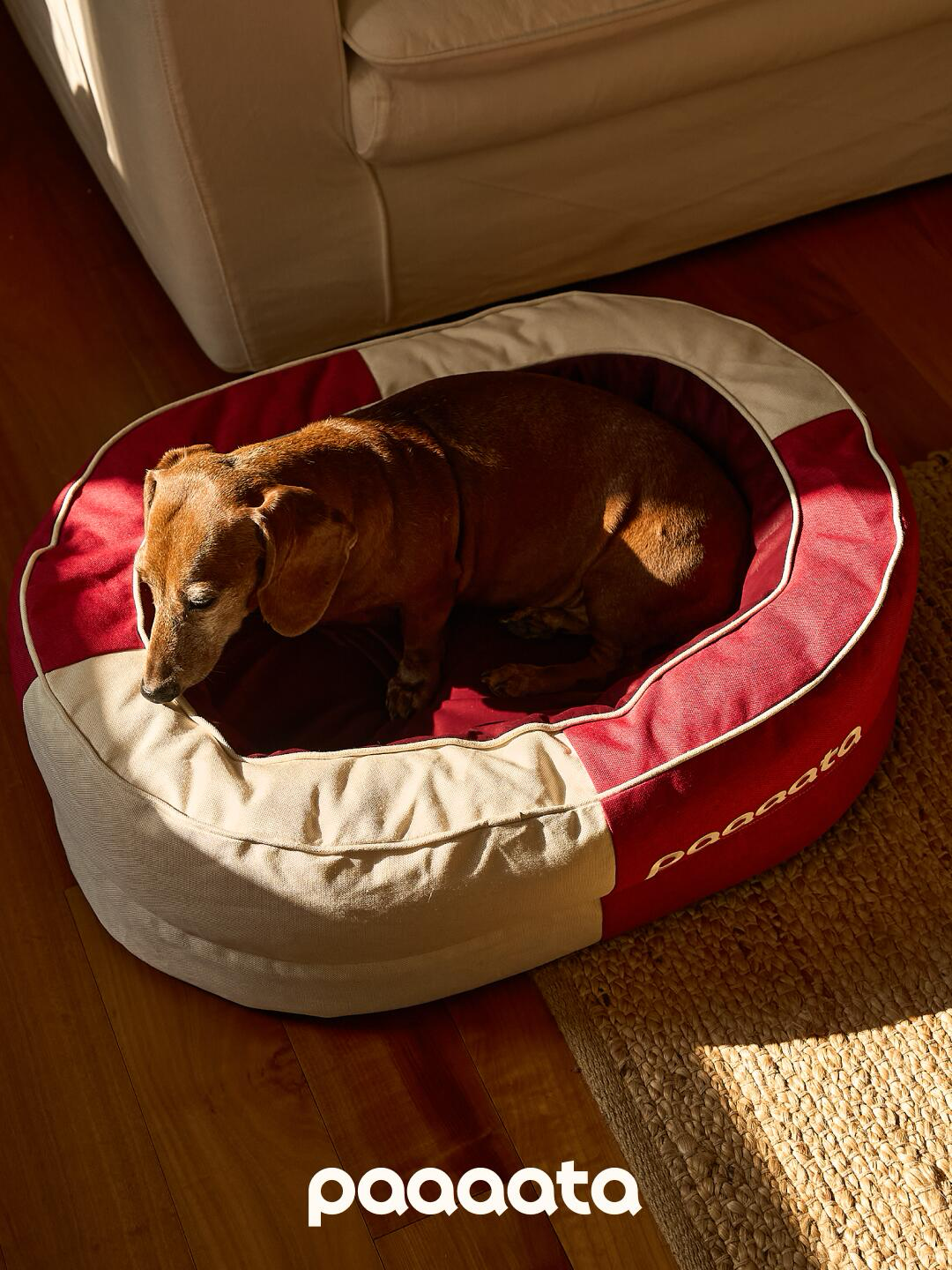 A dog resting in a supportive dog bed indoors, designed for everyday comfort and gentle body support.