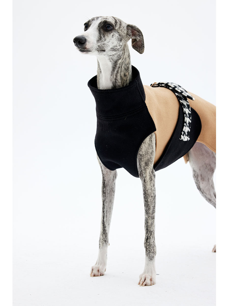 Dog standing while wearing a tailored wool coat with a clean, minimalist silhouette