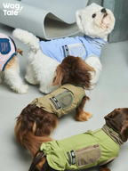 Multiple dogs wearing lightweight technical dog vests with breathable mesh utility pockets, shown from the back and side to highlight the outdoor performance design.