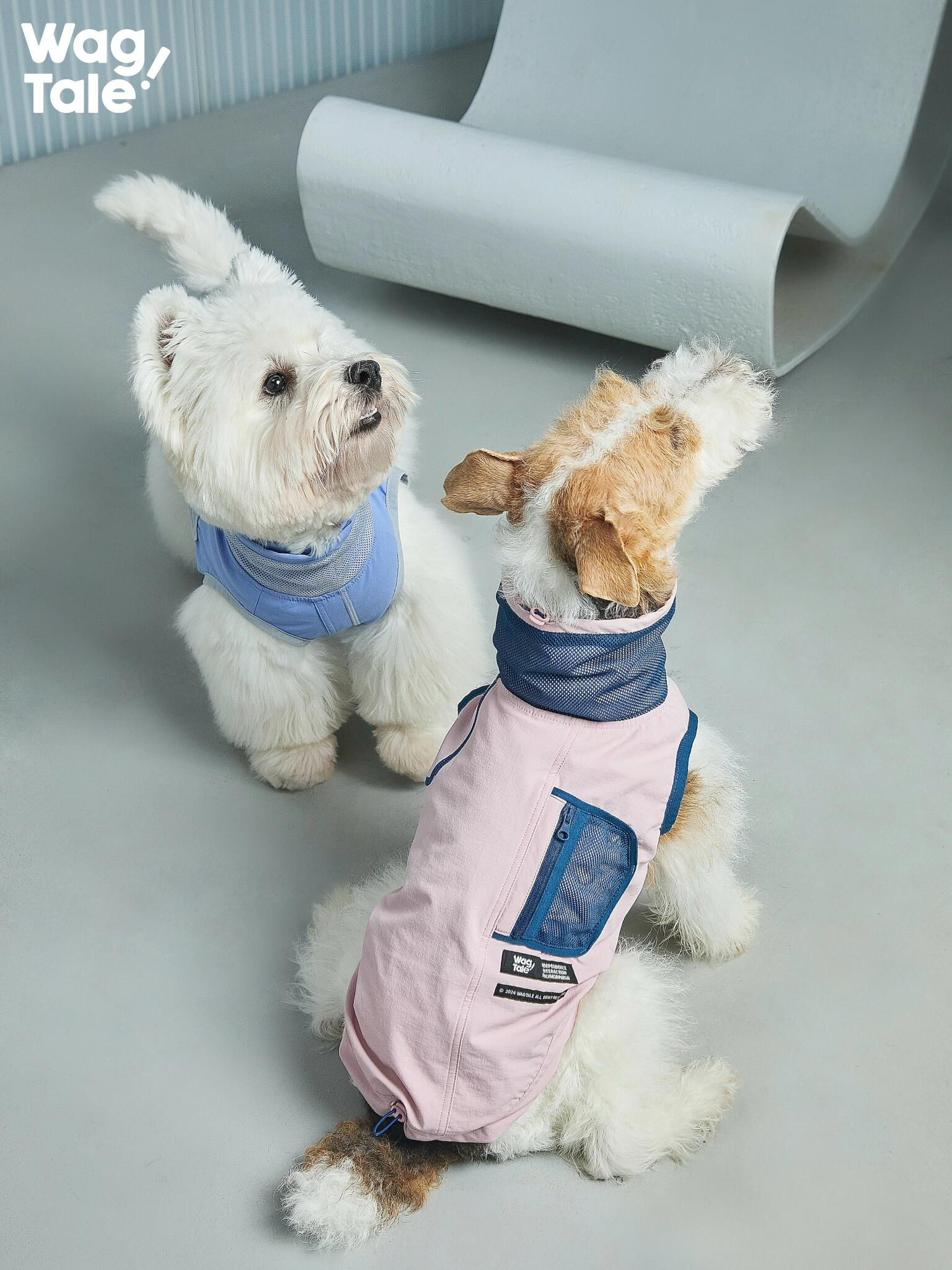 Two small dogs sitting face to face in technical dog vests, highlighting breathable mesh utility pockets and a clean, modern outdoor silhouette.