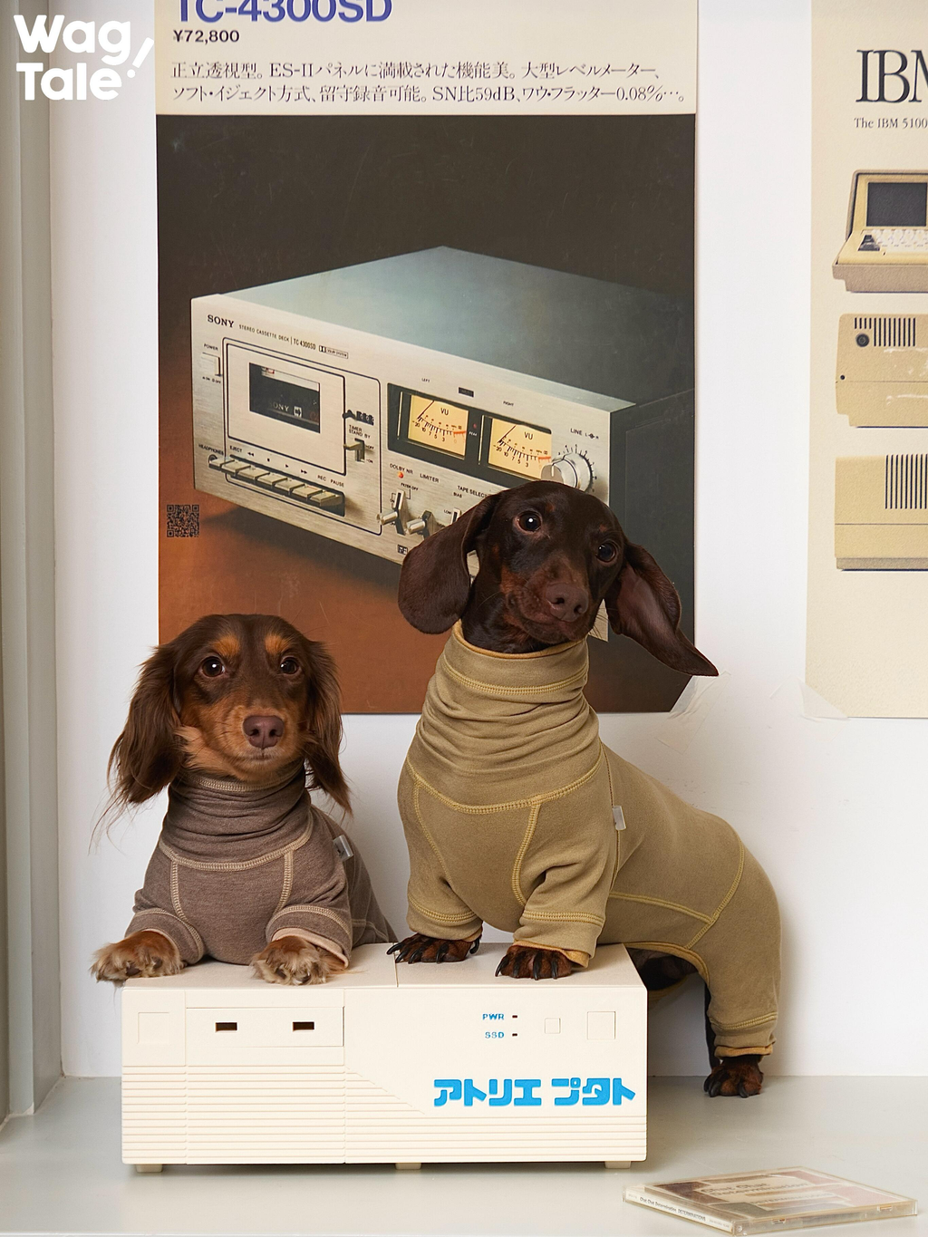 Front view of dachshunds wearing thermal dog suits, showing infrared warmth fabric, soft double-knit texture, and a secure, body-hugging fit.