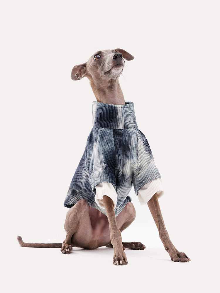 Tie dye corduroy dog shirt worn by an Italian Greyhound, featuring a soft ribbed texture and relaxed fit