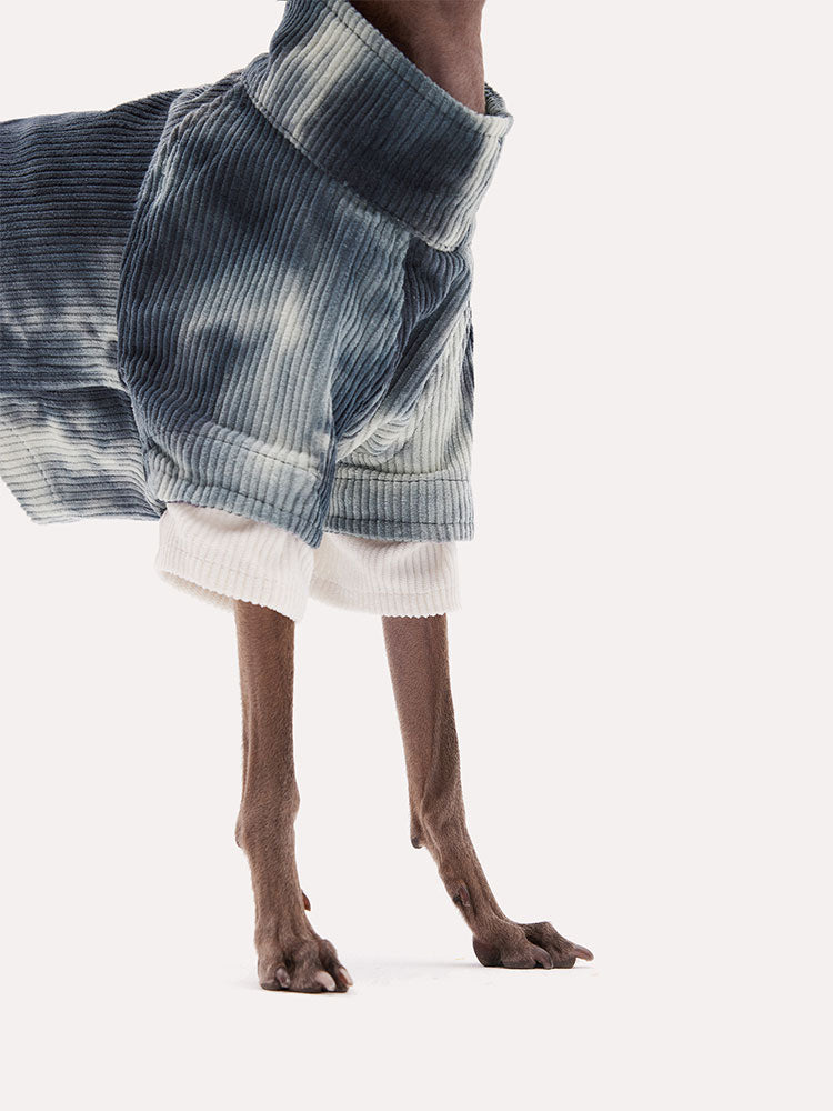 Tie-dye corduroy dog sweater showing ribbed fabric texture and soft cuff sleeves on a slender dog.