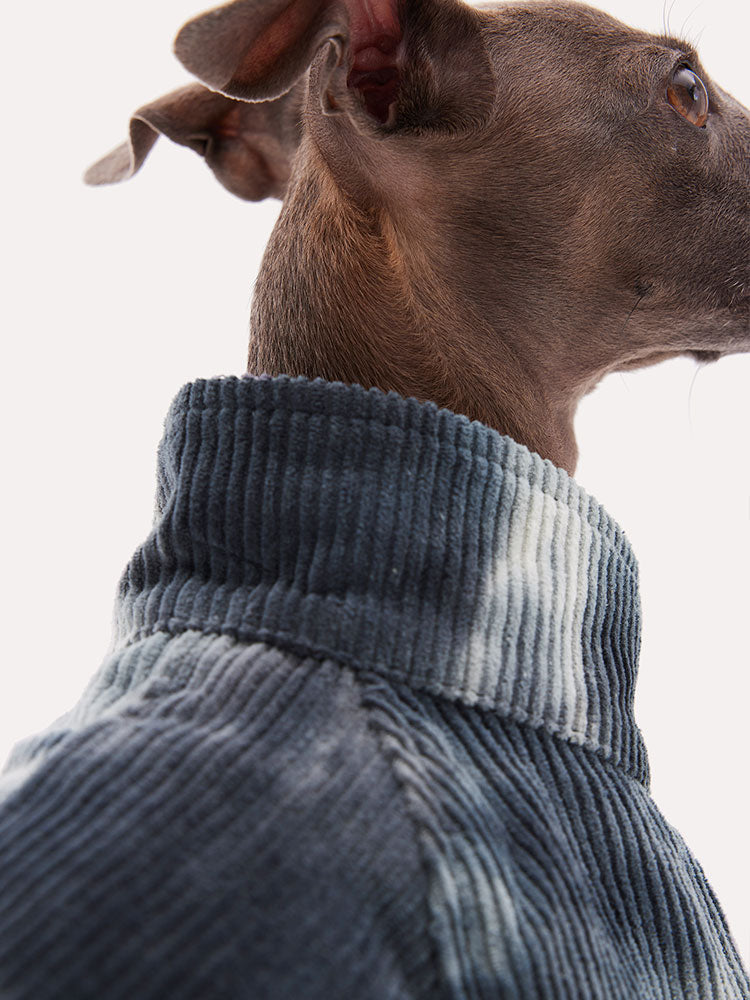 Close-up of a tie dye corduroy dog shirt showing the soft turtleneck collar and ribbed fabric detail