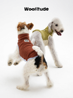 Two dogs playing in a studio while wearing color-block dog vests, shown from the back to highlight fit and fabric drape.