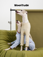 Two Italian Greyhounds interacting while wearing full-body dog suits in light blue and cream colors