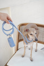Sighthound standing on a chair wearing a light blue vegan leather dog collar, paired with a matching leash and poop bag holder; complete animal-free walking set for daily use.