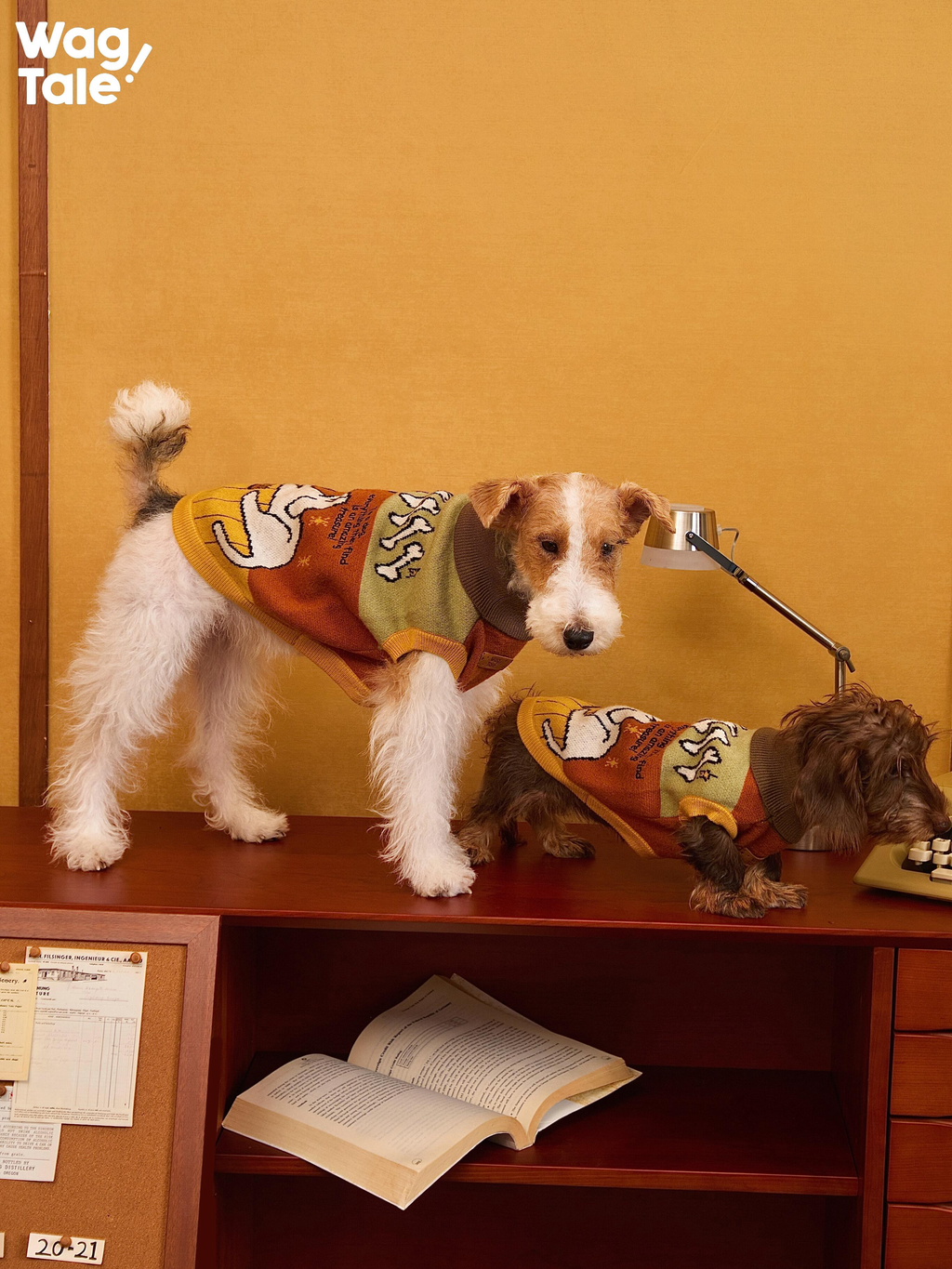 Two dogs wearing matching vintage knitted dog sweaters in a lifestyle scene, demonstrating how the warm knitwear fits different body shapes during everyday wear.