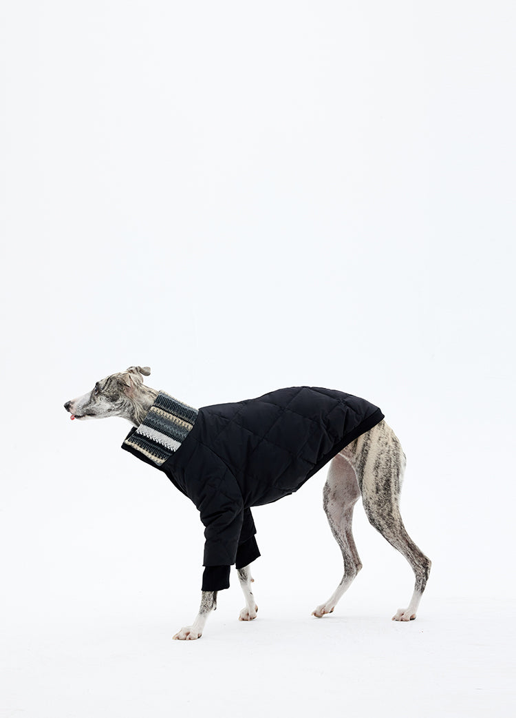 Full body view of a dog winter coat showing balanced proportions and lightweight design