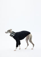 Full body view of a dog winter coat showing balanced proportions and lightweight design