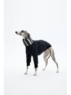 Minimalist black dog down jacket designed for cold weather and everyday outdoor wear