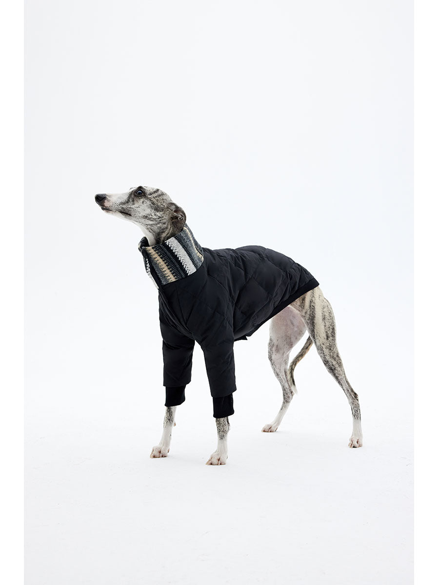 Minimalist black dog down jacket designed for cold weather and everyday outdoor wear