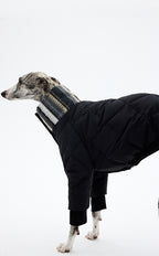 Quilted dog down jacket filled with white duck down for warmth without bulk