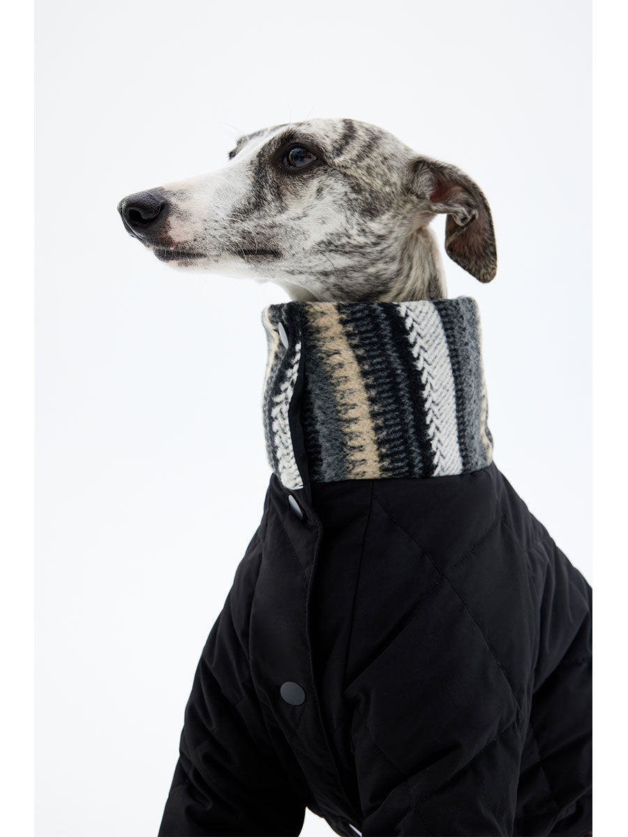 Windproof dog jacket featuring ribbed cuffs for warmth retention and comfort