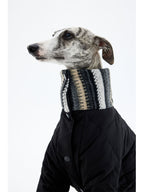 Windproof dog jacket featuring ribbed cuffs for warmth retention and comfort