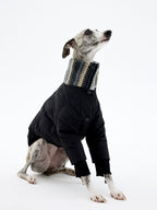 Black winter dog down jacket with high neck design, shown on a slim-fit dog model