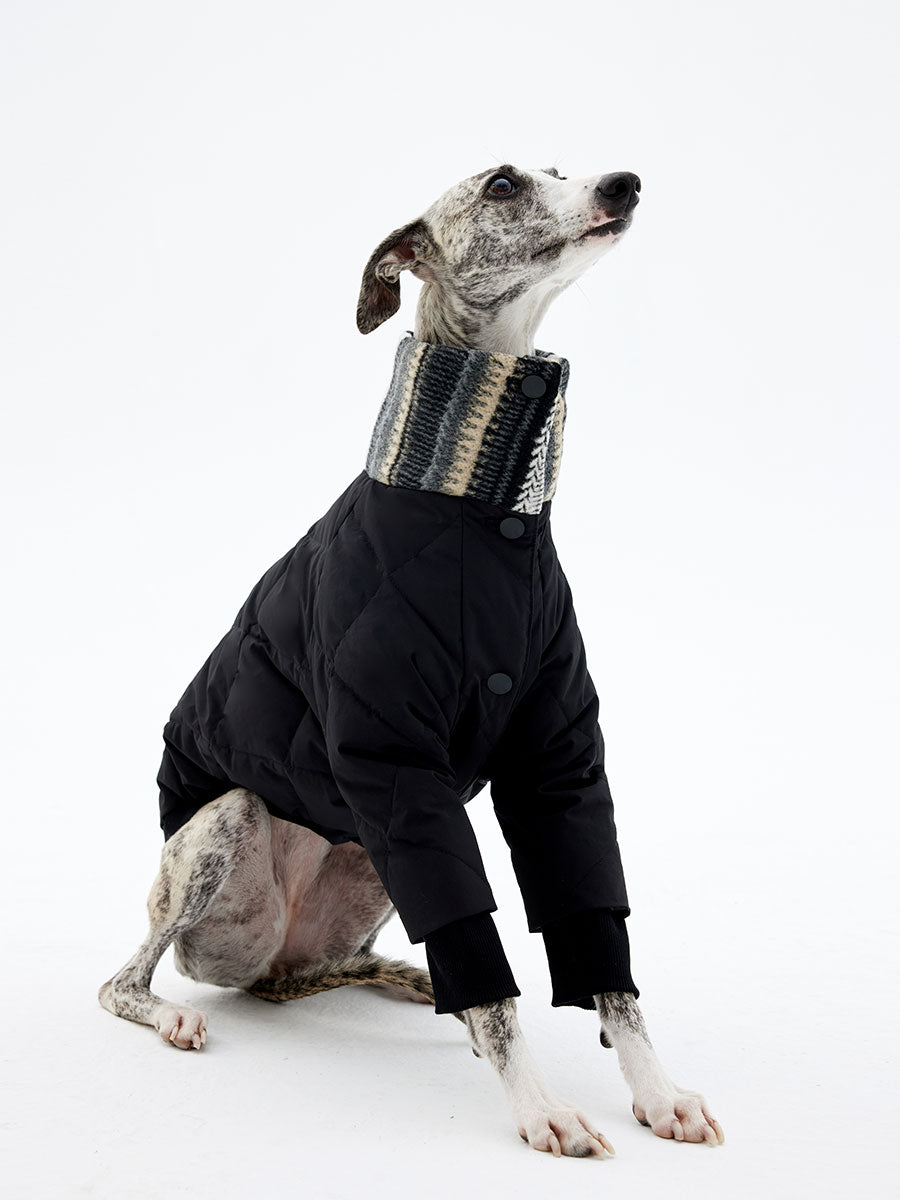 Black winter dog down jacket with high neck design, shown on a slim-fit dog model