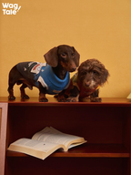 Dachshund and a wirehaired small dog standing side by side in warm knitted dog sweaters; blue graphic knit and vintage color-block dog knitwear shown in a cozy indoor setting.
