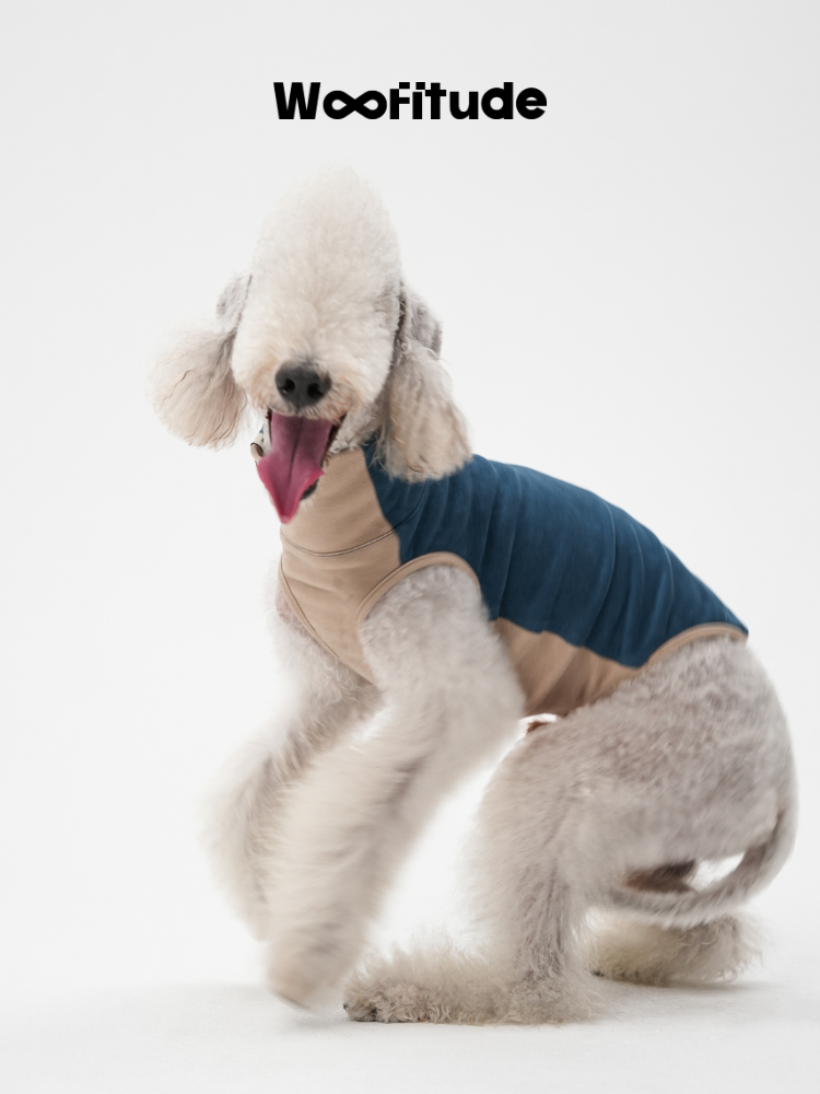 Poodle wearing a warm fleece dog vest in motion, demonstrating flexibility, softness, and secure fit.