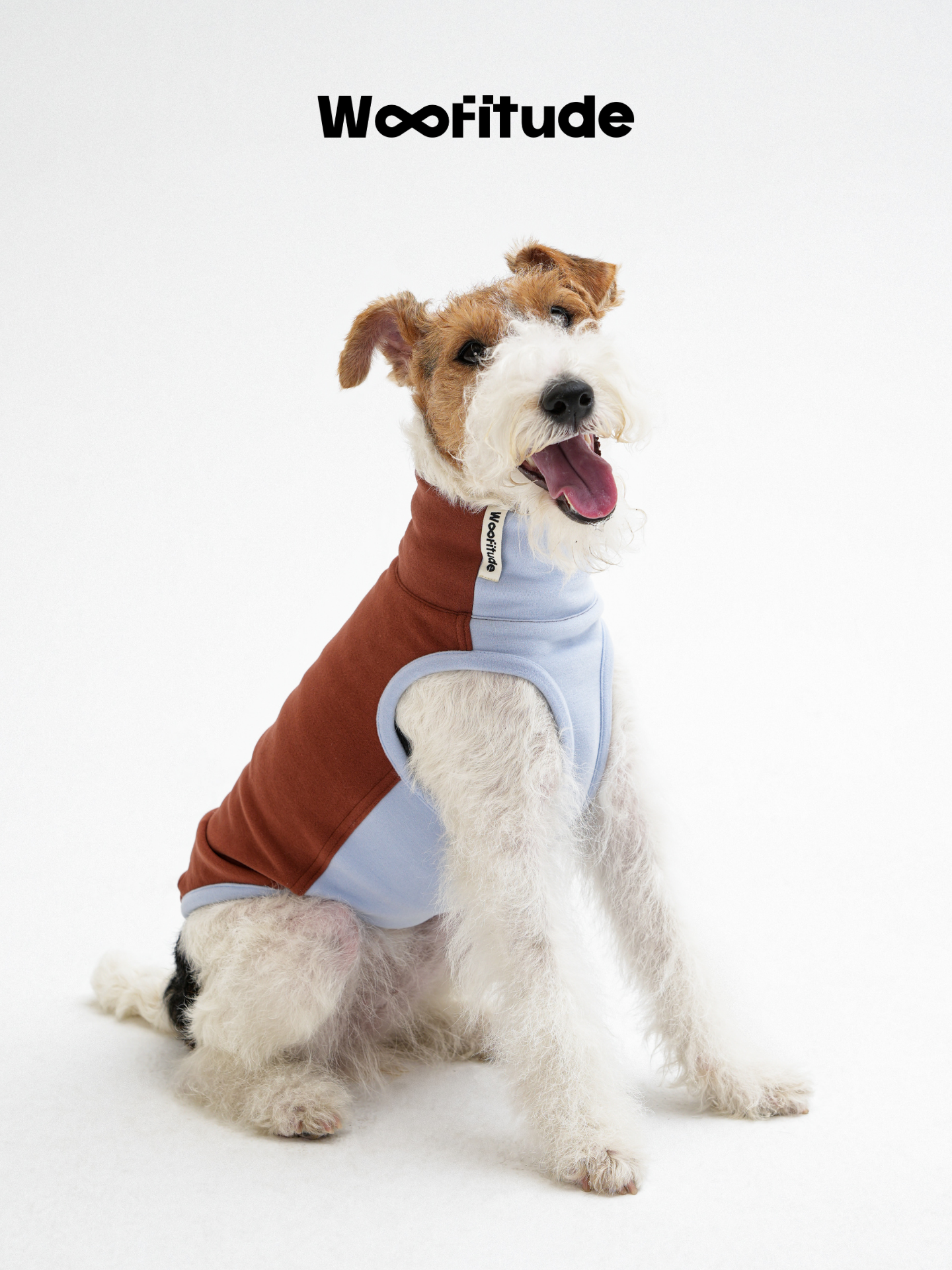 Wire Fox Terrier wearing a warm color-block dog vest, showing soft fleece fabric and structured edge binding.