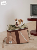 Waterproof dog carrier bag with small dog sitting comfortably inside, featuring wide opening, soft inner lining, and structured front panel for daily travel.