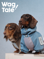 Close-up of a dachshund wearing a blue hooded waterproof dog jacket with four-leg coverage, featuring a sleeve patch and drawcord details, with another dog in the background.