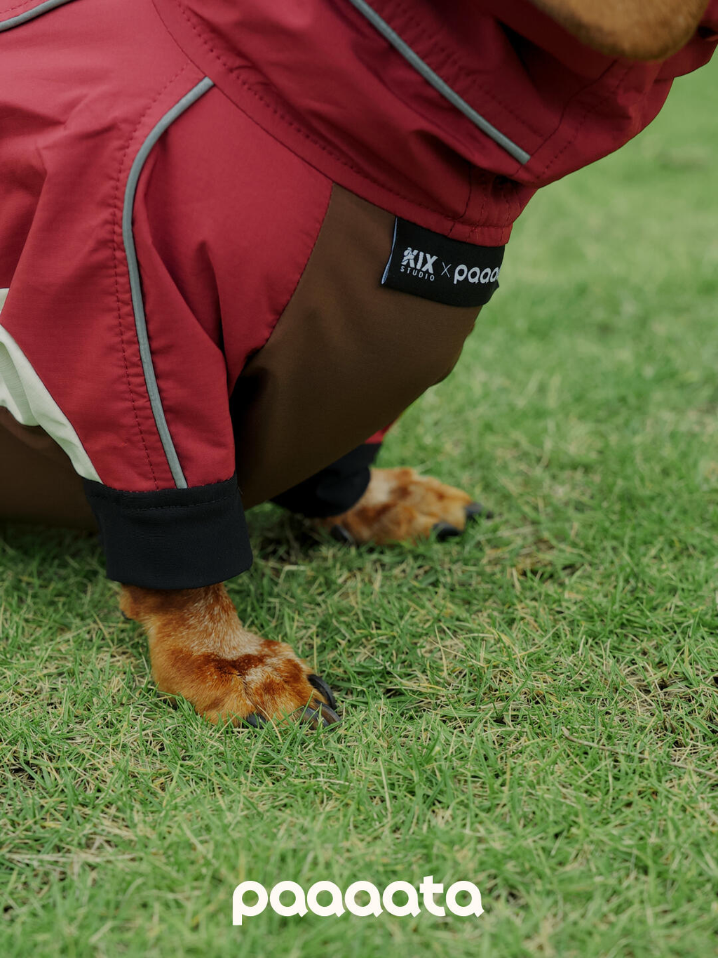 Detail of a red waterproof dog jacket worn outdoors, showing flexible fabric and reinforced panels that support natural movement.