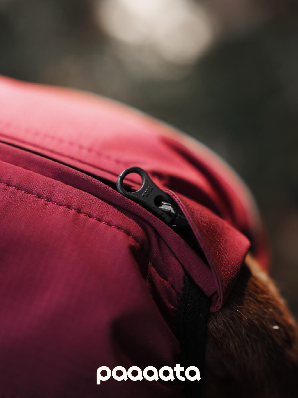 Close-up of a waterproof dog jacket showing the concealed zipper design that helps block wind and moisture during rainy conditions.