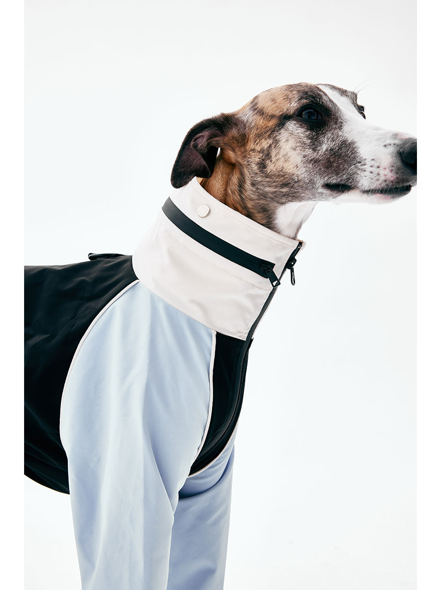 Close-up of the high collar and zipper detail on a waterproof dog raincoat