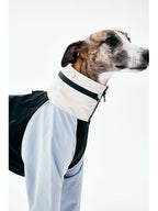 Close-up of the high collar and zipper detail on a waterproof dog raincoat